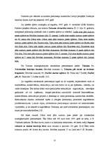 Referāts 'Durvis', 10.