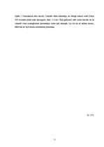 Referāts 'Durvis', 11.