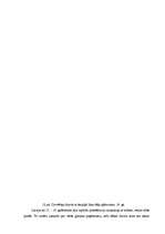 Referāts 'Durvis', 21.