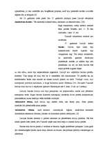 Referāts 'Durvis', 22.