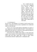 Referāts 'Durvis', 30.