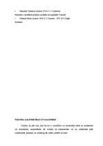 Referāts 'Durvis', 40.