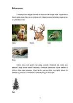 Referāts 'Lielbritānija', 6.