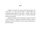 Referāts 'Juridiskas personas likvidācija', 3.