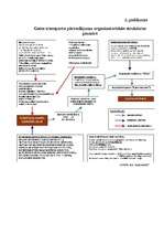 Diplomdarbs 'Liepājas lidostas attīstības perspektīvu tehniski – ekonomiskais novērtējums', 4.