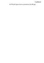 Diplomdarbs 'Liepājas lidostas attīstības perspektīvu tehniski – ekonomiskais novērtējums', 5.