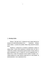 Referāts '35-50 gadus vecu valsts iestāžu darbinieku dzimumstereotipi', 5.