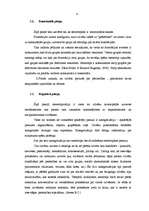 Referāts '35-50 gadus vecu valsts iestāžu darbinieku dzimumstereotipi', 14.