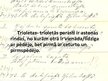 Prezentācija 'Imanta Ziedoņa dzejoļu krājuma "Trioletas" analīze', 2.