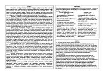 Konspekts 'Pasaules kultūra', 14.