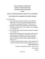 Eseja 'Balkānu krīzes noregulējuma starptautiskie risinājumi', 1.