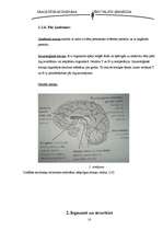 Referāts 'Atmiņas izkopšana', 10.