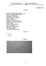 Referāts 'Atmiņas izkopšana', 35.