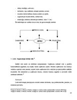 Diplomdarbs 'Mārketinga kompleksa elementu pielietojums SIA "Ludzas lauku konsultāciju birojs', 30.