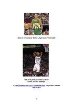 Referāts 'NBA 12 komandu balsti ', 23.