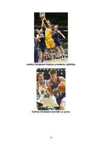 Referāts 'NBA 12 komandu balsti ', 27.