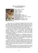 Referāts 'NBA 12 komandu balsti ', 47.