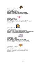 Referāts 'NBA 12 komandu balsti ', 71.