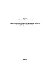 Referāts 'Ekoloģiskās politikas loma vides aizsardzībā, tās mērķi, galvenie principi un in', 1.