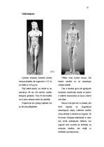 Referāts 'Kailums antīkajā Grieķijā', 19.