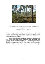 Referāts 'Meža nozares raksturojums Norvēģijā', 6.