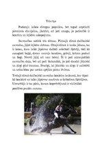 Referāts 'Zirgu jāšanas sports', 8.