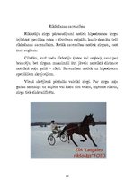 Referāts 'Zirgu jāšanas sports', 10.