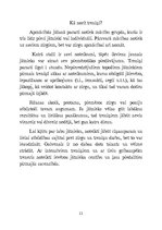 Referāts 'Zirgu jāšanas sports', 11.