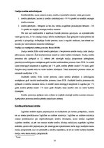 Diplomdarbs 'Latvijas, ASV, Anglijas un Igaunijas augstākās izglītības finansēšanas sistēmu s', 14.