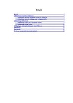 Referāts 'Sabiedriskās attiecības un mārketings', 2.