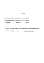 Konspekts 'Inventarizācijas lieta', 7.