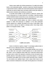 Referāts 'Iekšējā audita loma uzņēmuma SIA "Rimi Latvia" mērķu izpildē', 9.