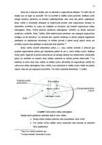 Referāts 'Iekšējā audita loma uzņēmuma SIA "Rimi Latvia" mērķu izpildē', 12.