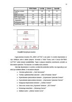 Referāts 'Iekšējā audita loma uzņēmuma SIA "Rimi Latvia" mērķu izpildē', 16.