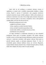 Referāts 'Civilā aizsardzība', 7.