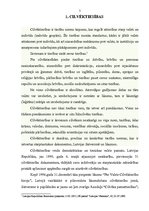 Referāts 'Tiesībsarga birojs, tā kompetence personu tiesību nodrošināšanā', 5.