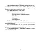 Referāts 'Krāsu ietekme uz cilvēka personību', 3.