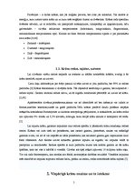 Referāts 'Krāsu ietekme uz cilvēka personību', 5.