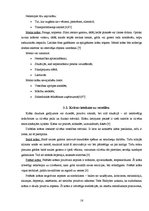 Referāts 'Krāsu ietekme uz cilvēka personību', 16.