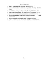 Referāts 'Krāsu ietekme uz cilvēka personību', 29.