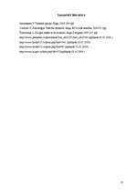 Referāts 'Tiesiskās apziņas deformācijas problēmas postpadomju demokrātijas valstīs', 13.