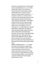 Referāts 'Kultūra Latvijas teritorijā aizvēstures periodā', 7.