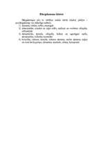 Konspekts 'Dārgakmeņi', 4.