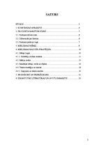 Referāts 'Reklāmas radošais plāns "Thermopal" produktam', 2.