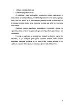 Referāts 'Reklāmas radošais plāns "Thermopal" produktam', 8.