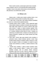 Referāts 'Reklāmas radošais plāns "Thermopal" produktam', 13.