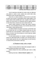 Referāts 'Reklāmas radošais plāns "Thermopal" produktam', 14.