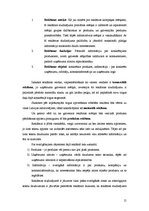 Referāts 'Reklāmas radošais plāns "Thermopal" produktam', 15.