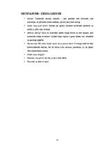 Referāts 'Taizemes kultūras iezīmes', 10.