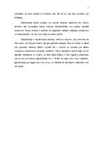 Referāts 'Kultūras globalizācija', 9.